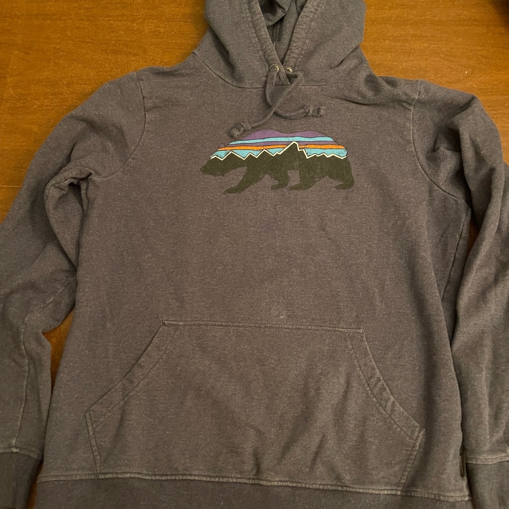 Patagonia hoody